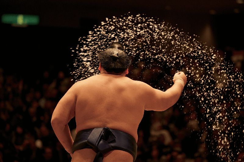 力士